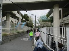 IMG_0496.jpg
