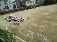 IMG_0550.jpg