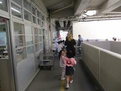 IMG_0636.jpg