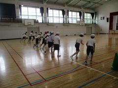 IMG_0768.jpg