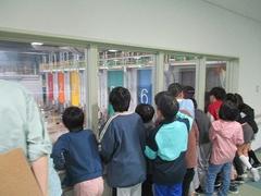 IMG_5217.jpg