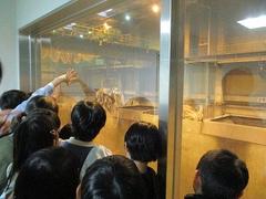 IMG_5220.jpg