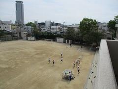 IMG_0552.jpg
