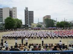 IMG_5456.jpg