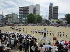 IMG_5292.jpg