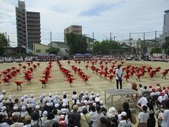 IMG_5379.jpg