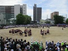 IMG_5351.jpg