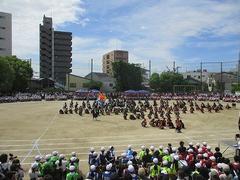 IMG_5328.jpg