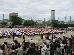 IMG_5289.jpg