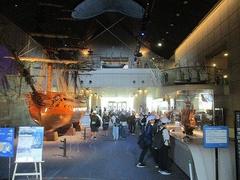 IMG_5231.jpg