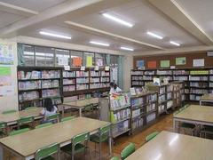 IMG_0919.jpg