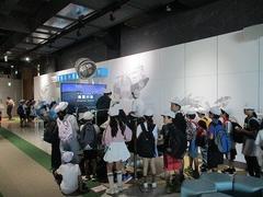 IMG_5245.jpg