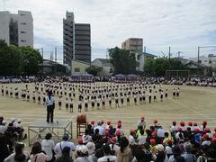IMG_5300.jpg