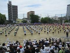 IMG_1067.jpg
