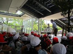 IMG_0873.jpg