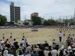 IMG_1160.jpg