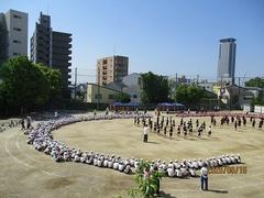 IMG_0906.jpg