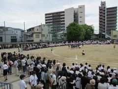 IMG_1103.jpg