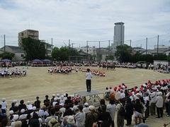 IMG_5437.jpg