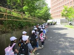 IMG_0813.jpg