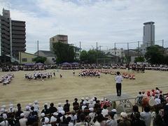 IMG_5433.jpg