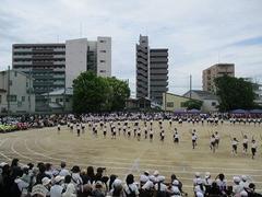 IMG_1047.jpg