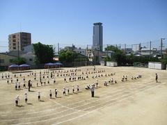 IMG_0913.jpg