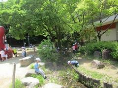 IMG_0823.jpg