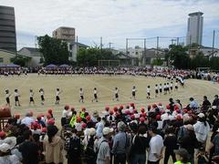 IMG_5295.jpg