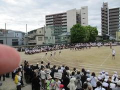 IMG_0983.jpg