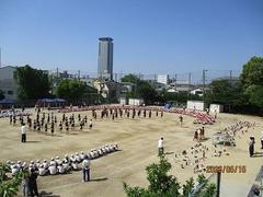 IMG_0907.jpg