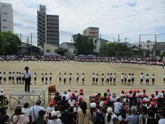 IMG_5293.jpg