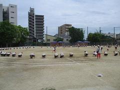 IMG_0928.jpg