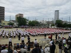 IMG_5286.jpg