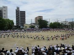 IMG_1061.jpg