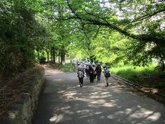 IMG_0815.jpg