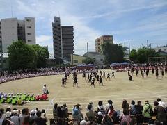 IMG_5367.jpg