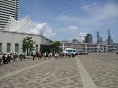 IMG_5250.jpg