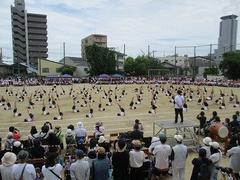 IMG_1122.jpg