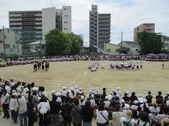 IMG_5436.jpg