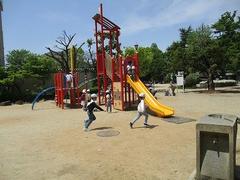 IMG_0830.jpg
