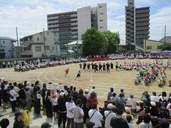 IMG_1032.jpg