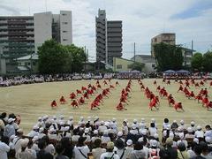 IMG_5381.jpg