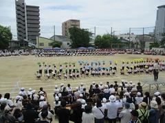 IMG_1073.jpg