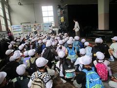 IMG_5265.jpg