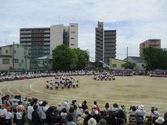 IMG_1144.jpg