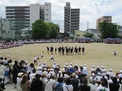 IMG_1004.jpg