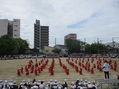 IMG_5396.jpg