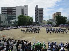 IMG_5313.jpg