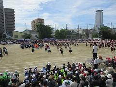 IMG_5311.jpg